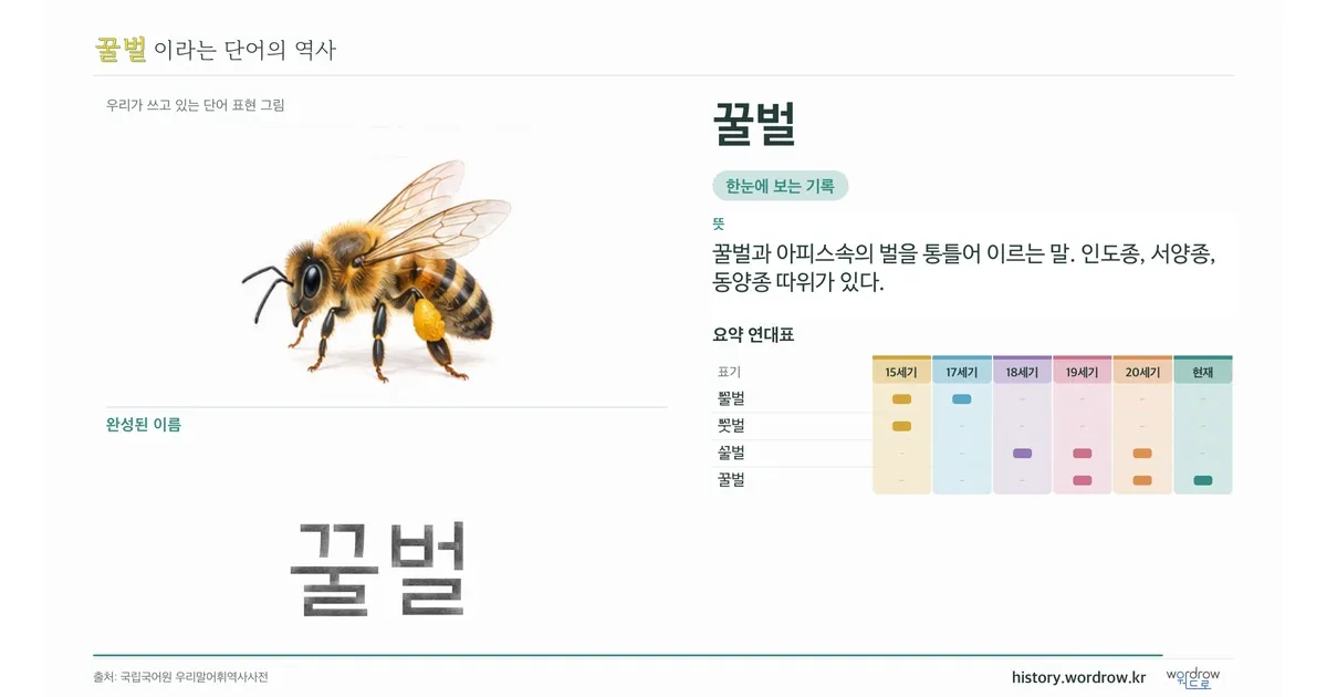 꿀벌 대표 이미지