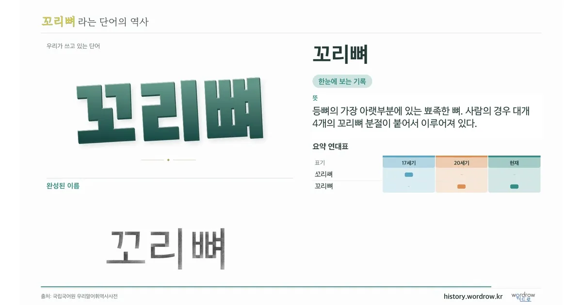꼬리뼈 대표 이미지
