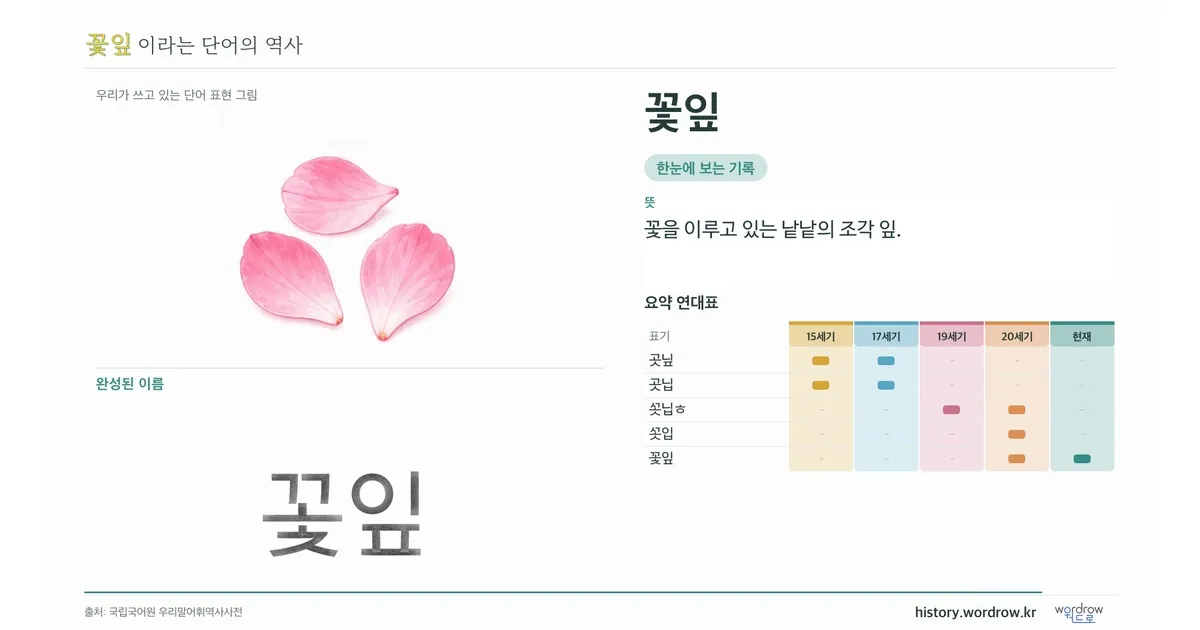 꽃잎 대표 이미지