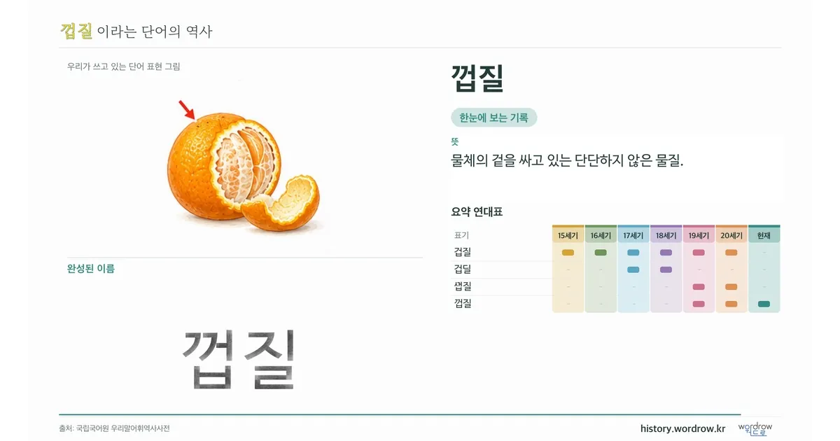껍질 대표 이미지