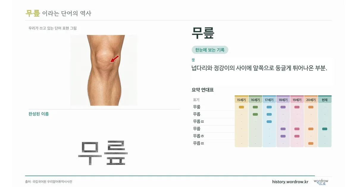 무릎 대표 이미지