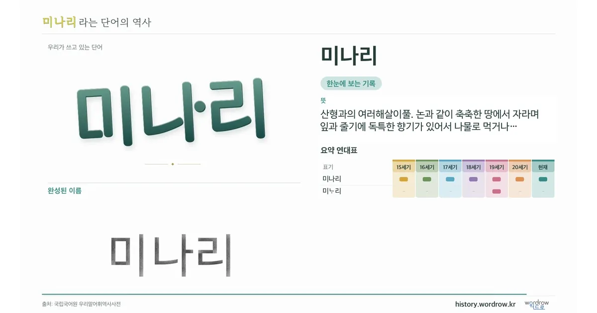 미나리 대표 이미지