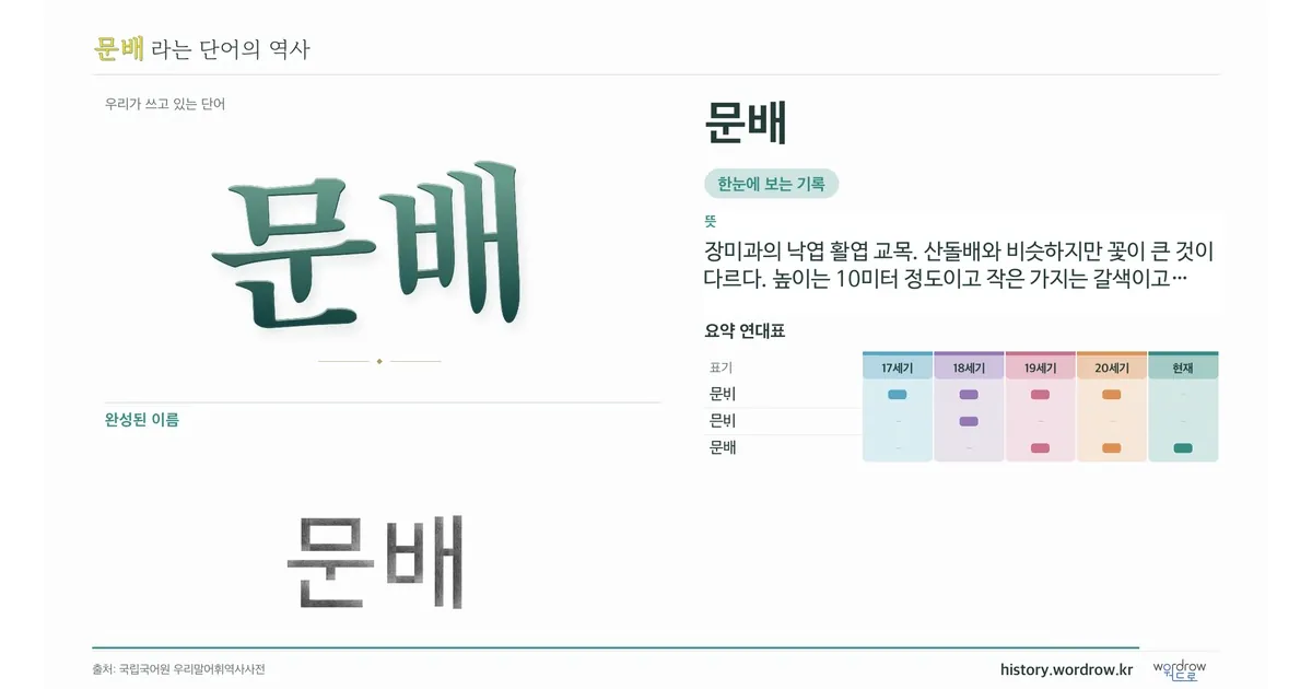 문배 대표 이미지