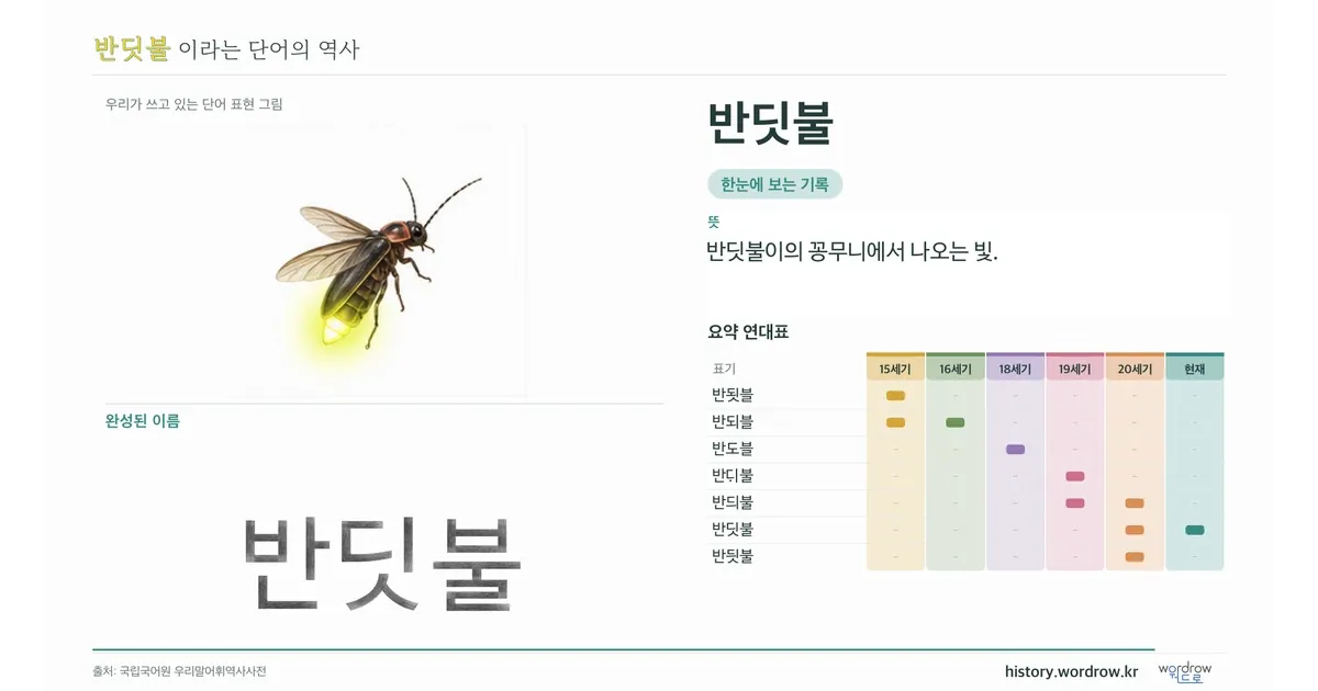 반딧불 대표 이미지