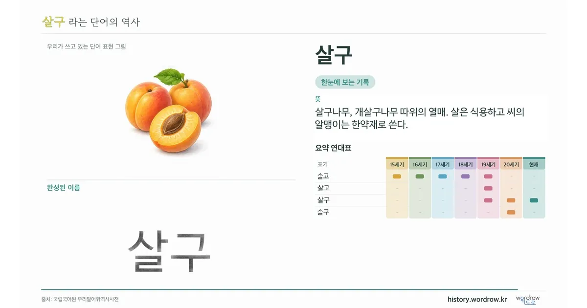 살구 대표 이미지