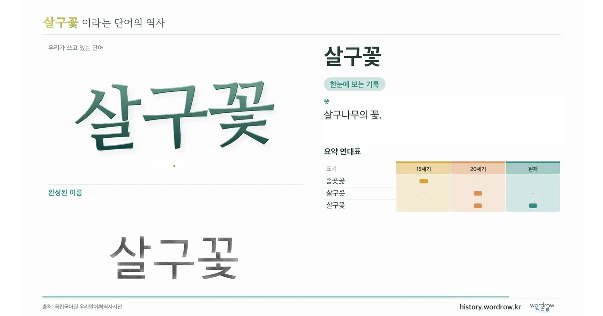 살구꽃 대표 이미지