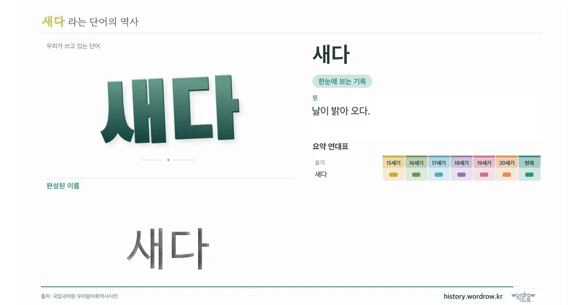 새다 대표 이미지