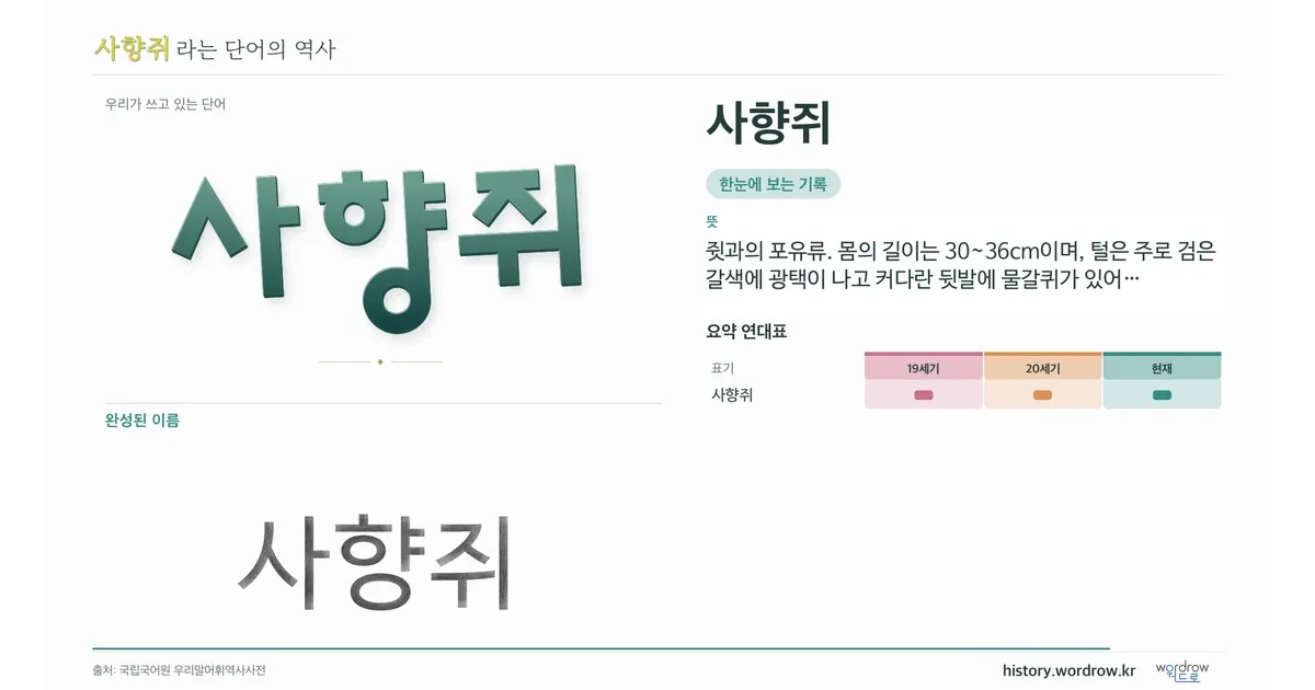 사향쥐 대표 이미지