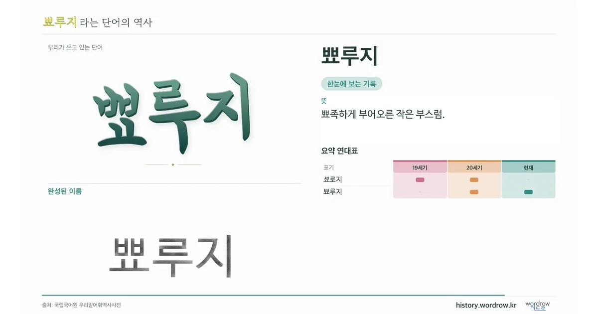 뾰루지 대표 이미지