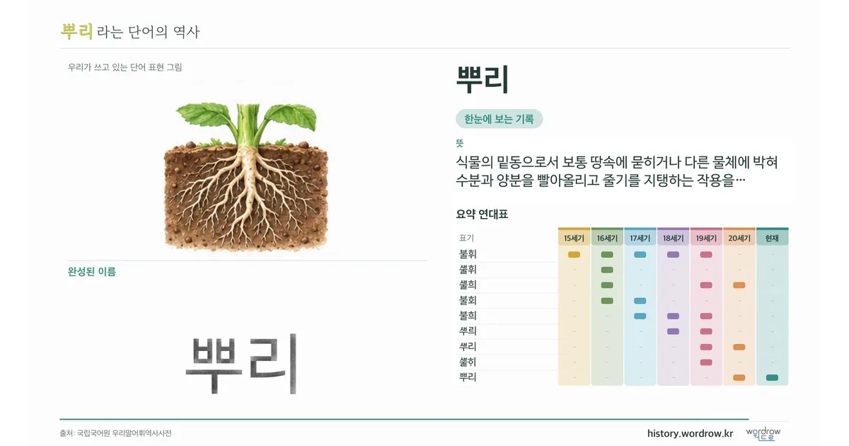 뿌리 대표 이미지