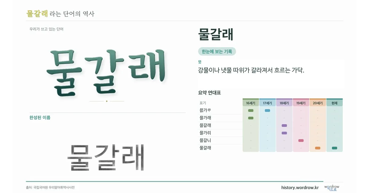 물갈래 대표 이미지
