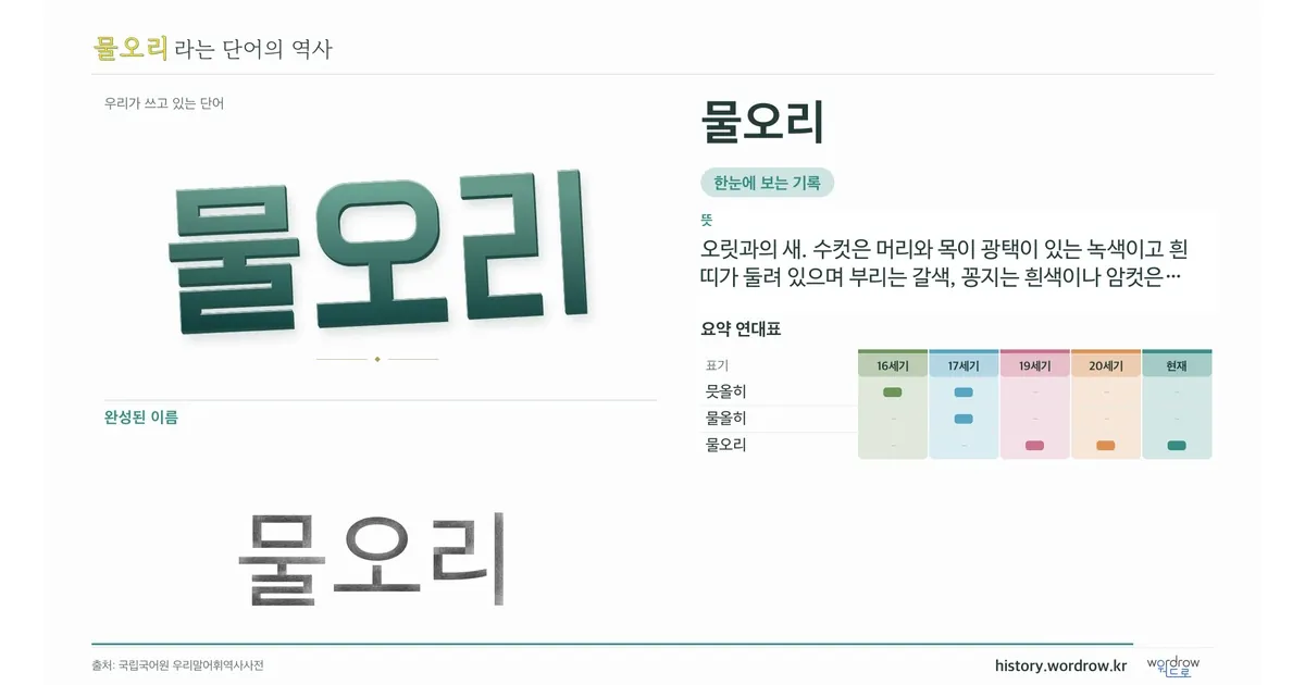 물오리 대표 이미지