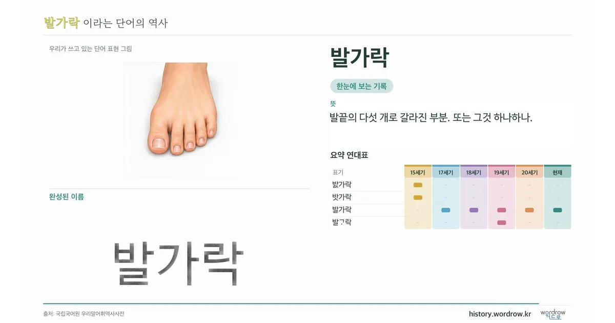 발가락 대표 이미지