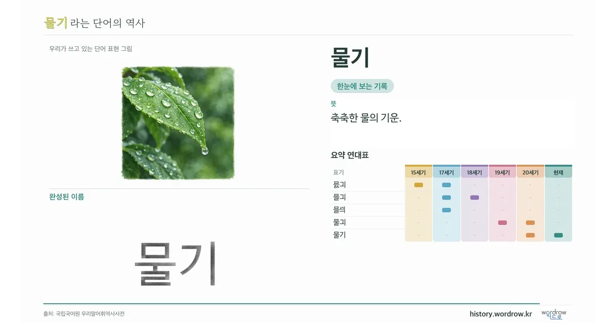 물기 대표 이미지