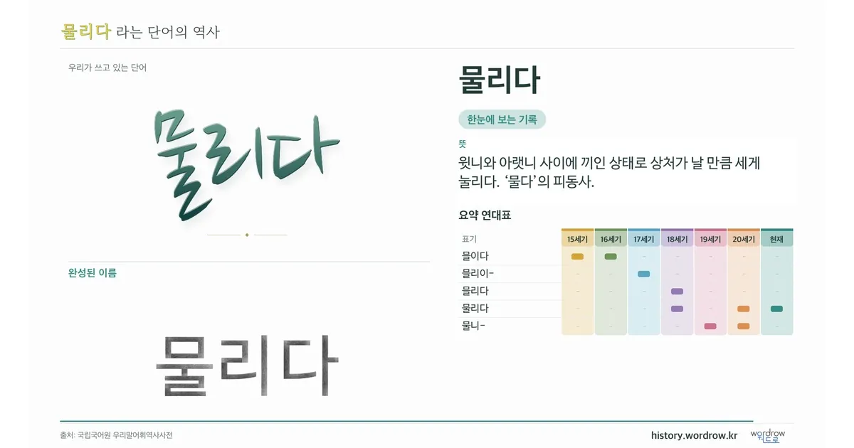 물리다 대표 이미지