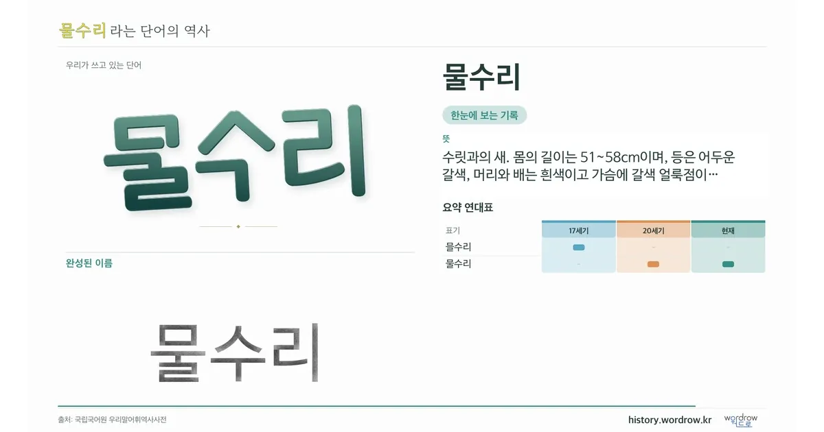 물수리 대표 이미지