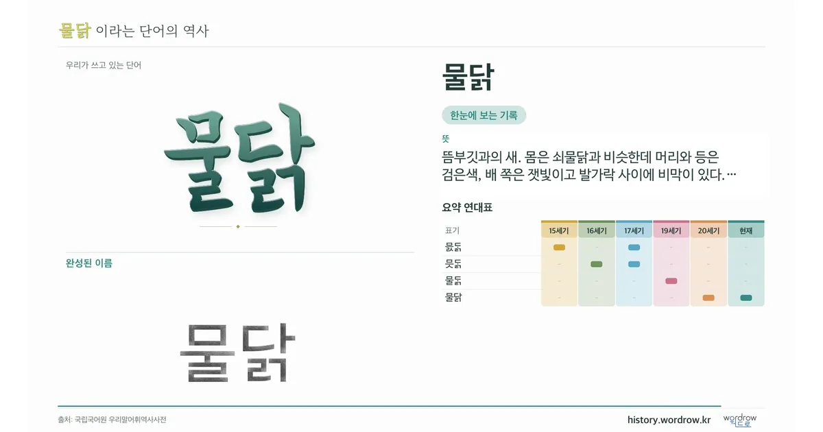 물닭 대표 이미지