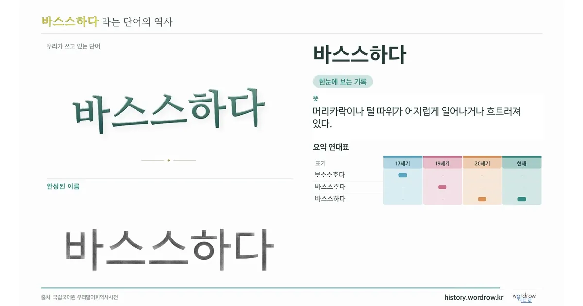 바스스하다 대표 이미지