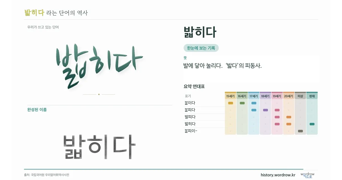밟히다 대표 이미지