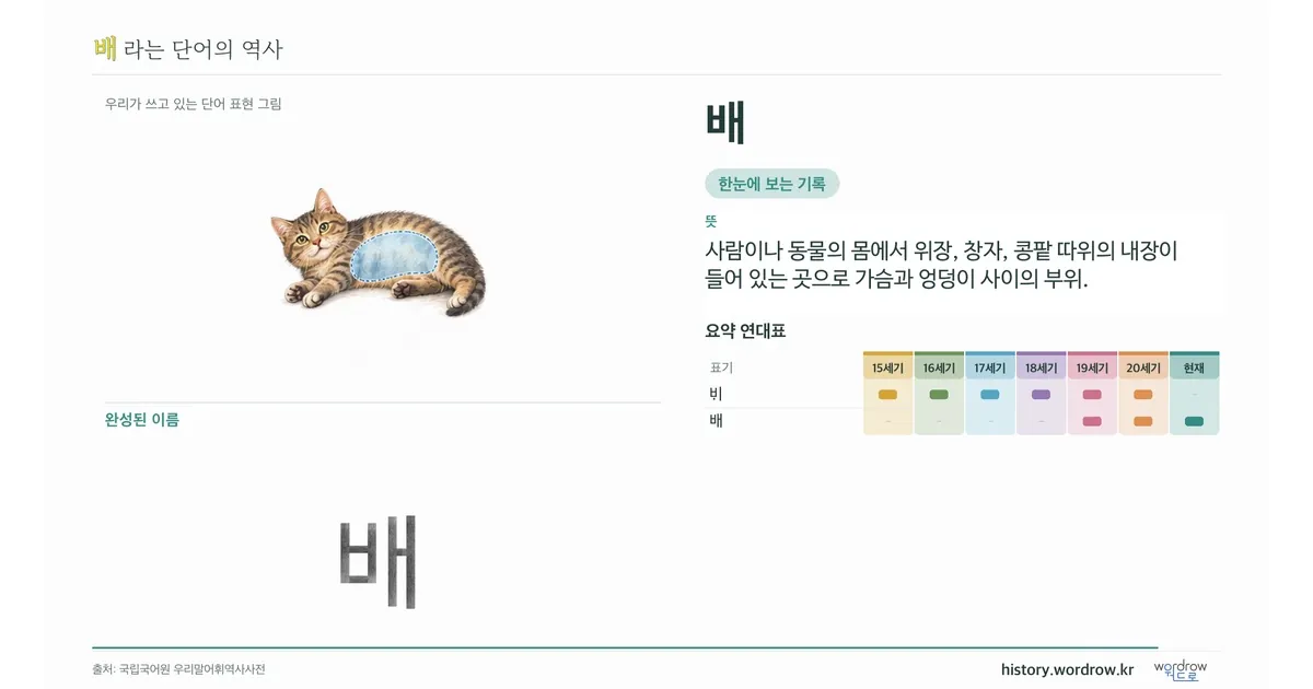 배 대표 이미지