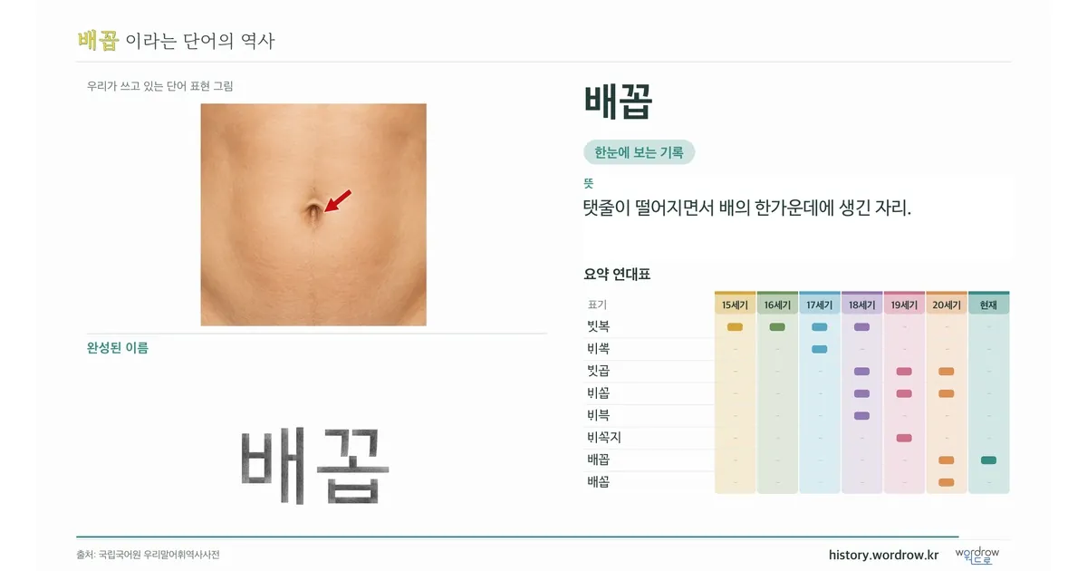 배꼽 대표 이미지