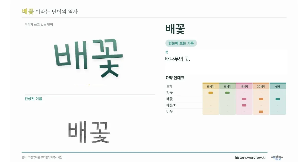 배꽃 대표 이미지
