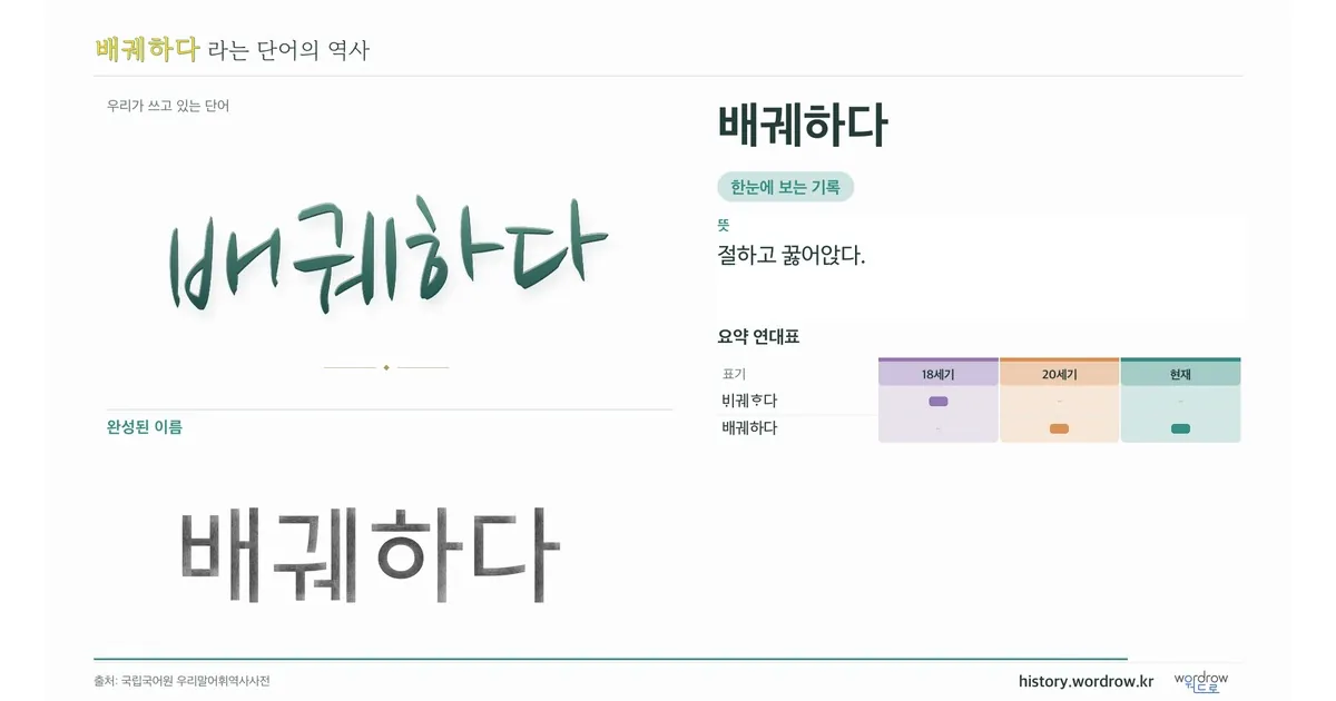 배궤하다 대표 이미지