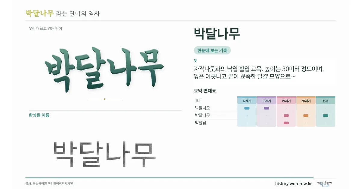 박달나무 대표 이미지