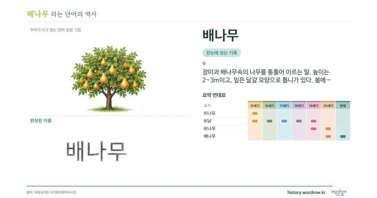 배나무 대표 이미지