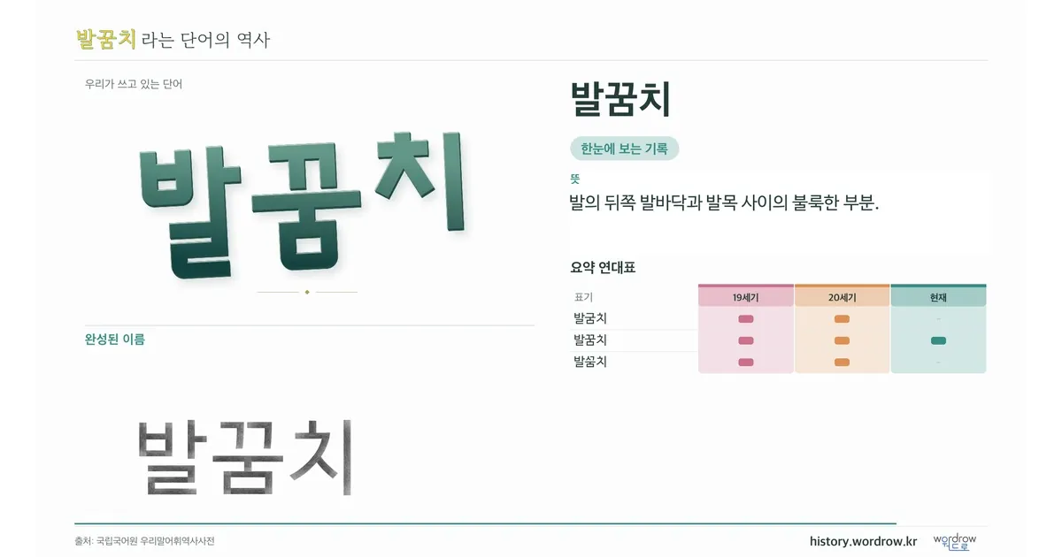 발꿈치 대표 이미지