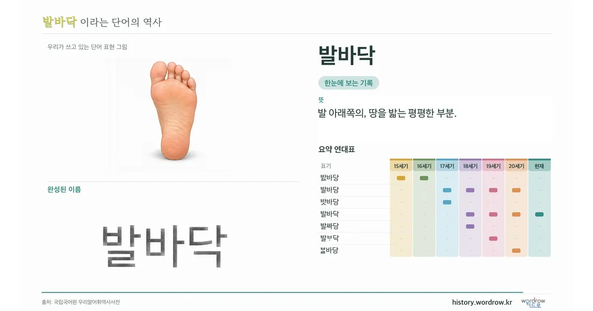 발바닥 대표 이미지