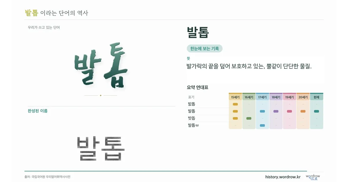 발톱 대표 이미지