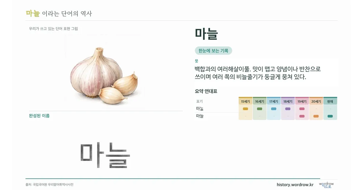 마늘 대표 이미지