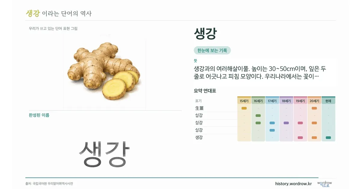생강 대표 이미지