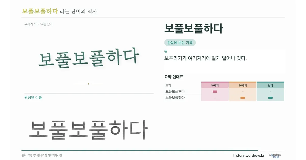 보풀보풀하다 대표 이미지