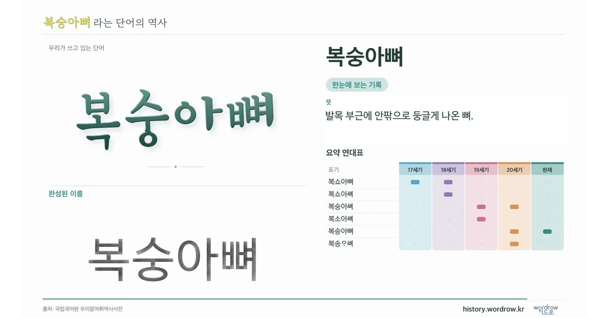 복숭아뼈 대표 이미지