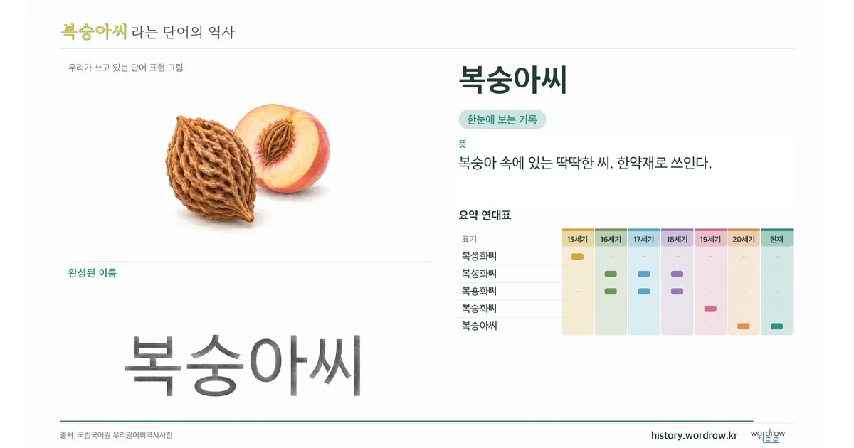 복숭아씨 대표 이미지