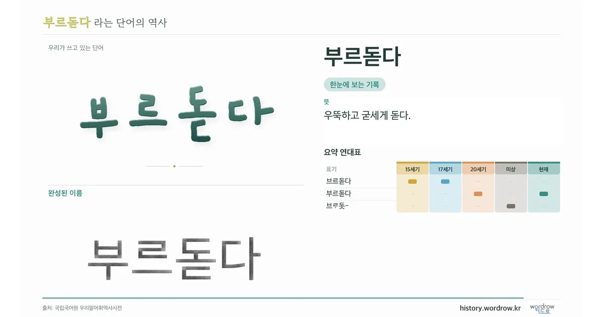 부르돋다 대표 이미지