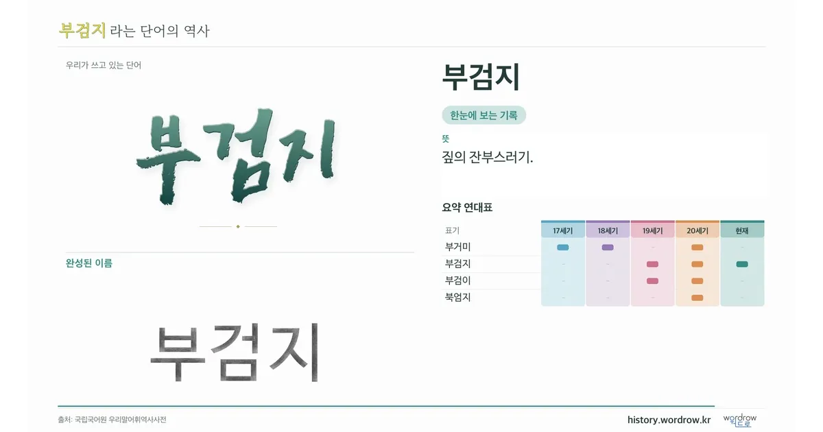 부검지 대표 이미지
