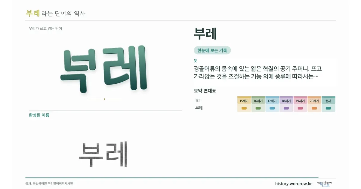 부레 대표 이미지