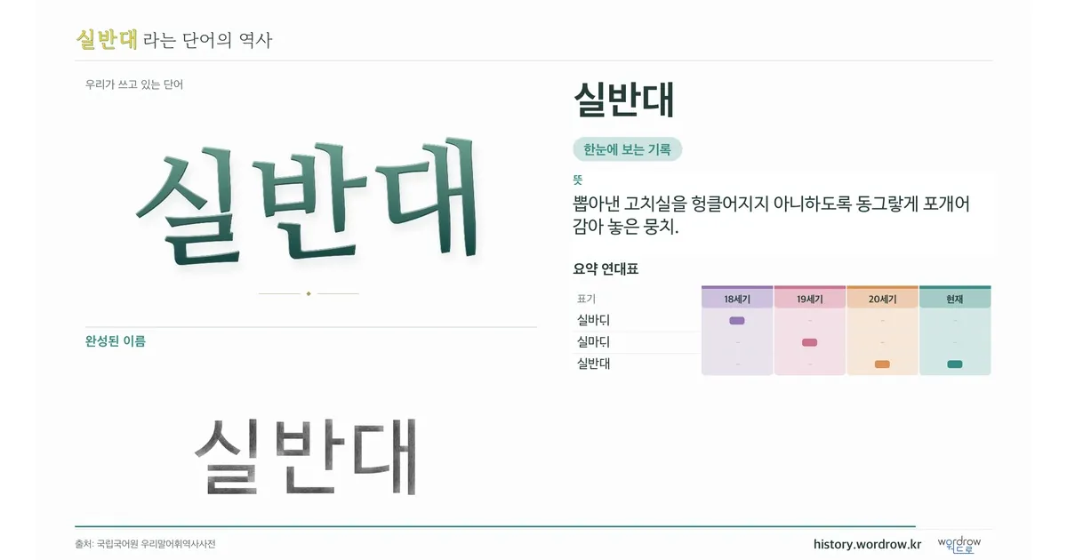 실반대 대표 이미지