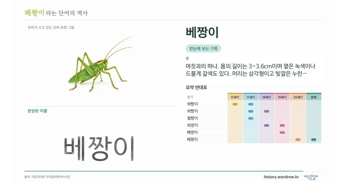 베짱이 대표 이미지