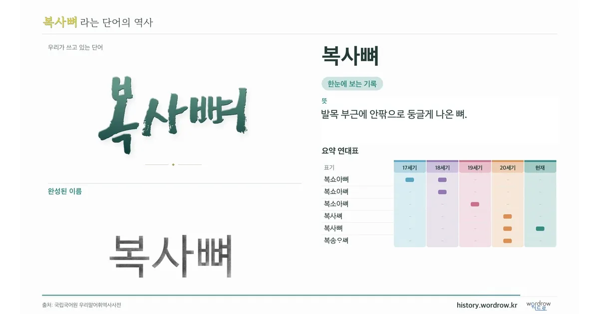 복사뼈 대표 이미지