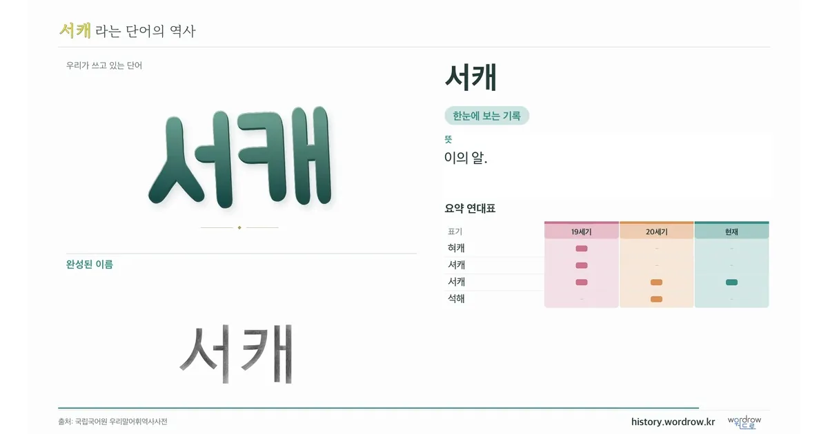 서캐 대표 이미지