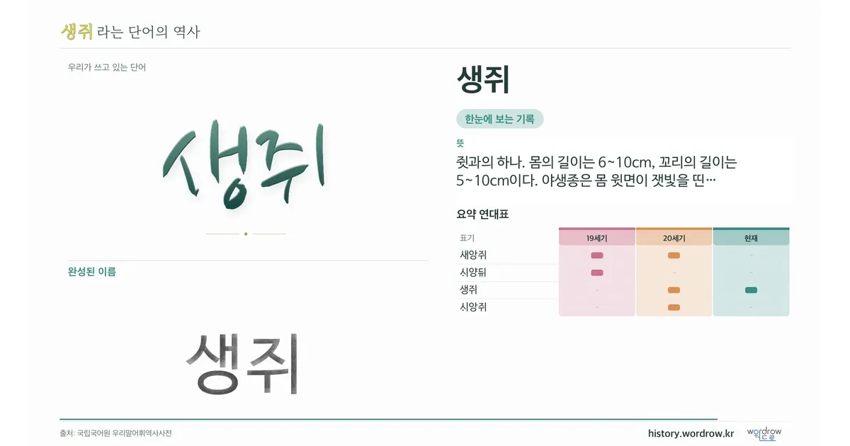 생쥐 대표 이미지