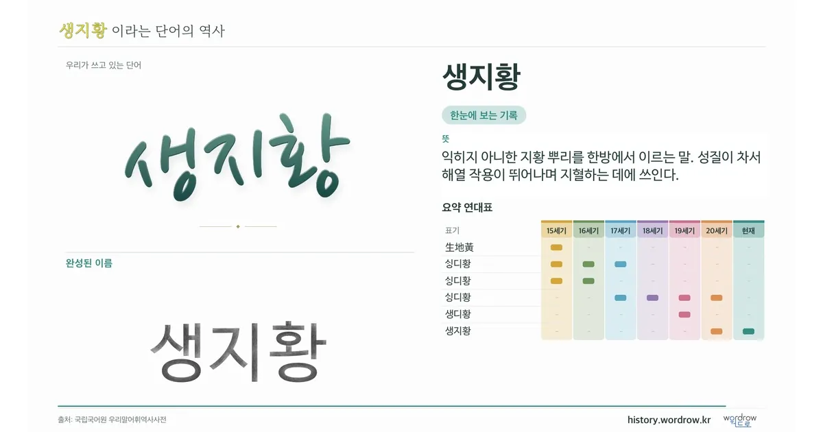 생지황 대표 이미지