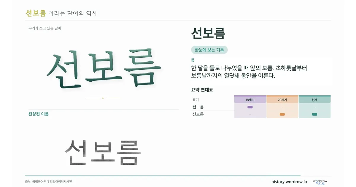 선보름 대표 이미지