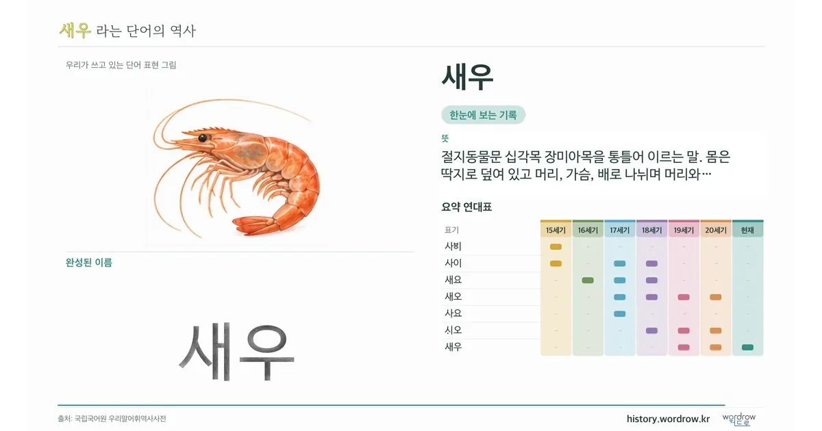새우 대표 이미지