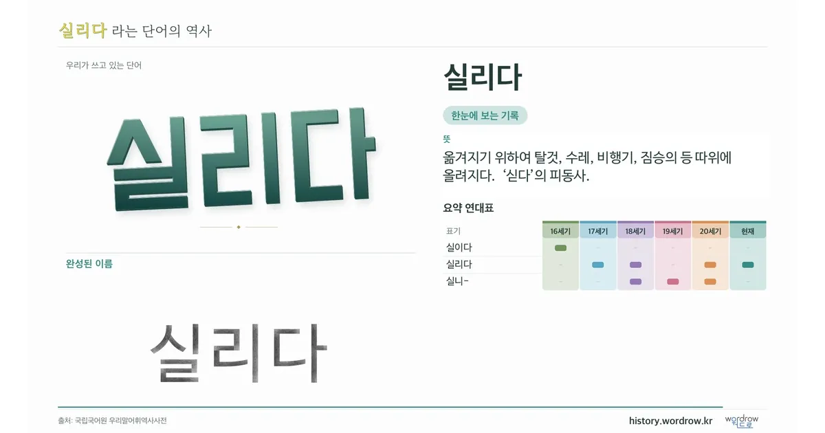 실리다 대표 이미지