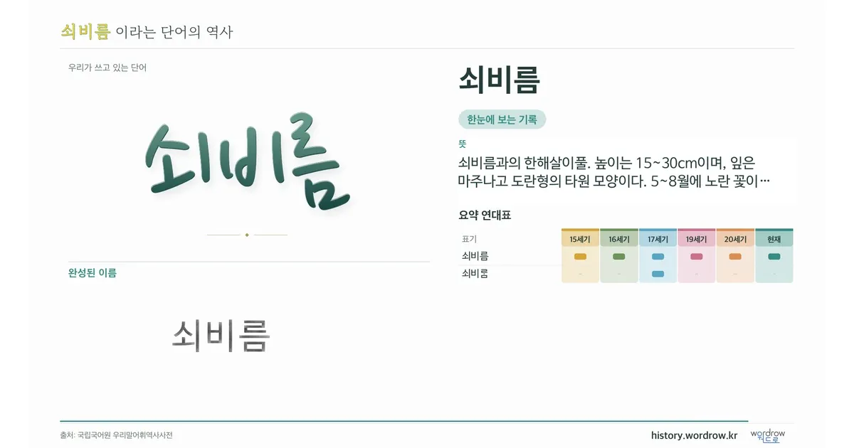 쇠비름 대표 이미지